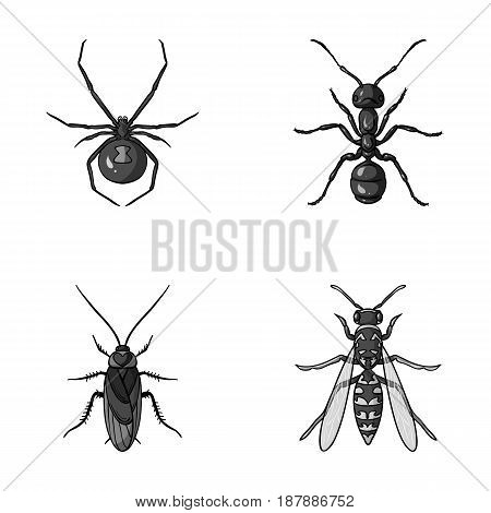 Spider, ant, wasp, bee .Insects set collection icons in monochrome style vector symbol stock illustration .