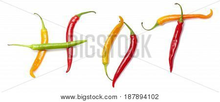 Hot Chili Pepper