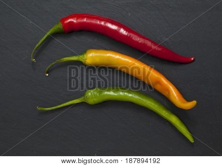 Hot Chili Pepper
