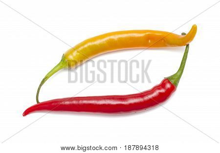 Hot Chili Pepper