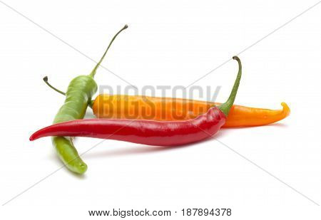 Hot Chili Pepper