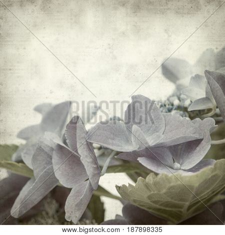 Textured Old Paper Background