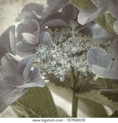 Textured Old Paper Background