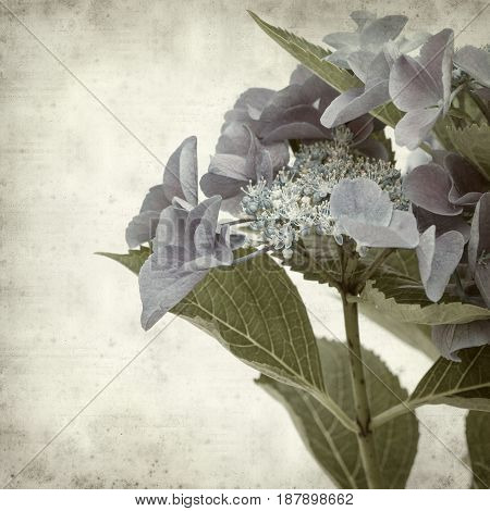 Textured Old Paper Background