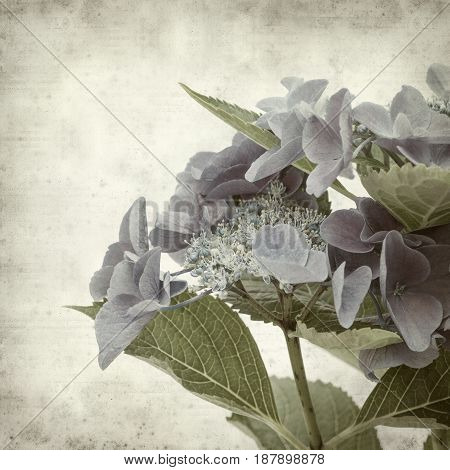 Textured Old Paper Background
