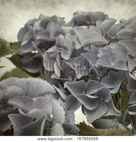 Textured Old Paper Background