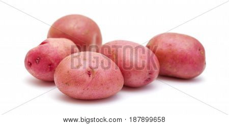 new potato with red skin isolated on white background