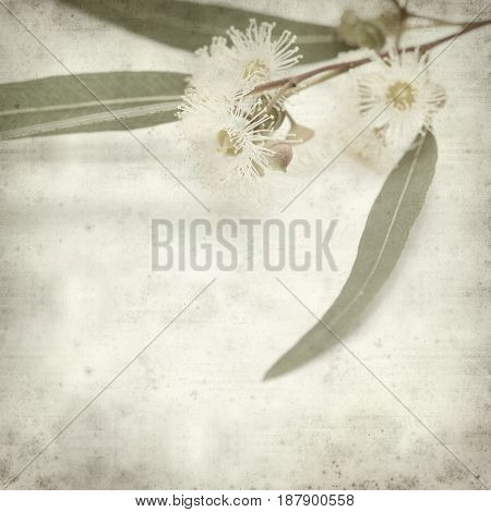 Textured Old Paper Background