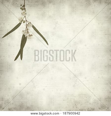 Textured Old Paper Background