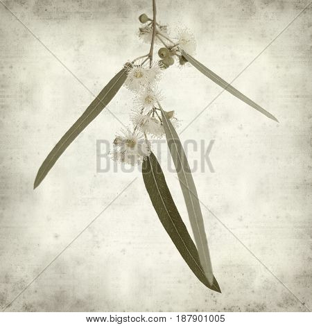 Textured Old Paper Background