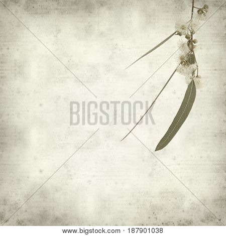 Textured Old Paper Background