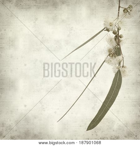 Textured Old Paper Background