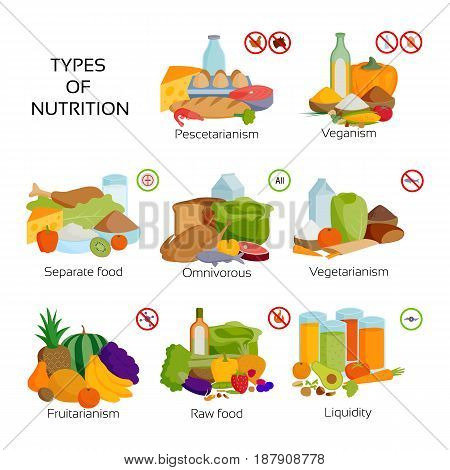 Nutririon diet food types product infographic organic vegetarian concept health meal vector illustration. Different delicious grocery natural vegetables symbol tasty vitamin