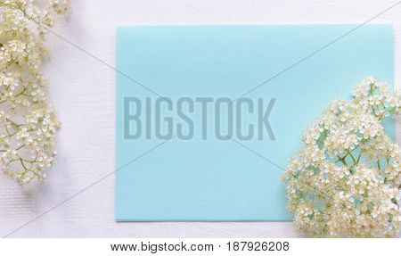 Spring White flowers on a blue background. Soft focus
