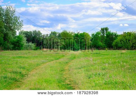 On a green meadow there is a path to the forest under a beautiful blue sky with clouds all around grows and pure ecology blooms and nobody around