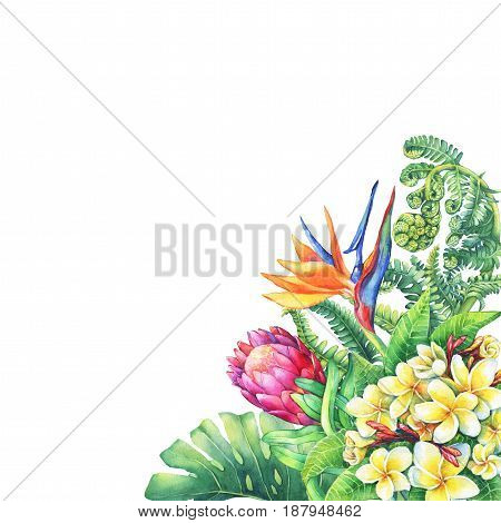 Floral card with branches purple Protea flowers, plumeria, strelitzia and tropical plants. Hand drawn watercolor painting on white background.