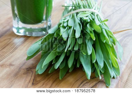 Green Barley Grass And A Barley Grass Shot