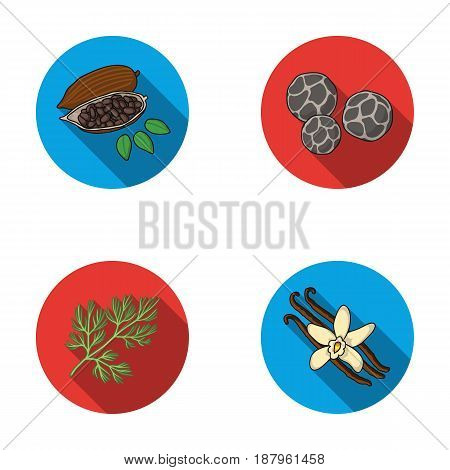 Fried cacao beans, dill, black pepper, vanilla.Herbs and spices set collection icons in flat style vector symbol stock illustration .