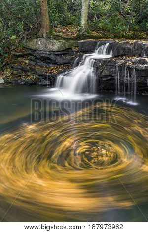 A swirl of floating autumn leaves is captured in a photograph taken with a long exposure at Tolliver Falls in Swallow Falls State Park Maryland.