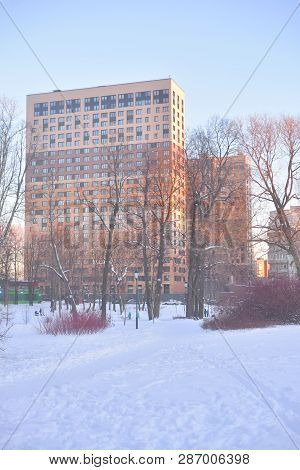 City Park At Winter Evening In Saint Petersburg, Russia.
