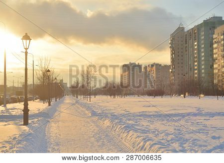 Alley At Winter At Cloud Day On The Outskirts Of St. Petersburg, Russia.