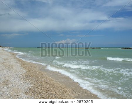 Mare
