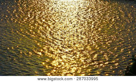 When The Light Shone Down, The Water Surface Had A Beautiful Golden Color.