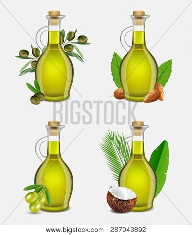 Vector Realistic Argan, Olive, Coconut And Almond Oil Set