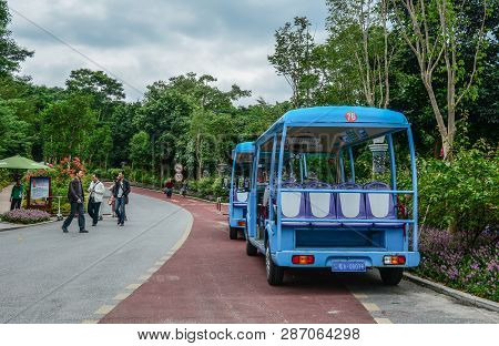 Electric Cart At The City Park