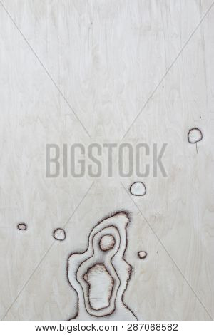Light Soft Tidy Wood Texture, Pattern, Background