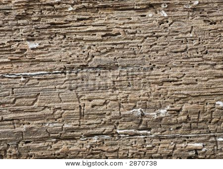 Trave in legno con tarli