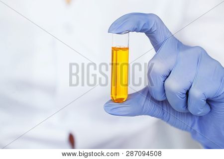 Beauty Cosmetics Sciences, Formulating And Mixing Skincare With Herbal Essence, Scientist Prepare Or