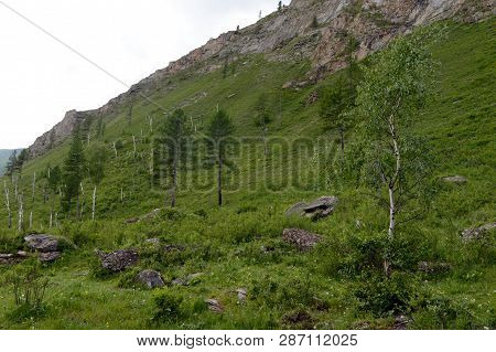 Mountain Landscape By The River Chuya, Altai Republic, Siberia, Russia