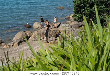 Tauranga New Zealand - March 3 2019; Group Of People On Rocks At Mount Maunganui Base Looking At Cor