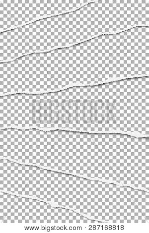 Elongated Layers Of Torn Transparent Paper Fragments Placed One Over Another