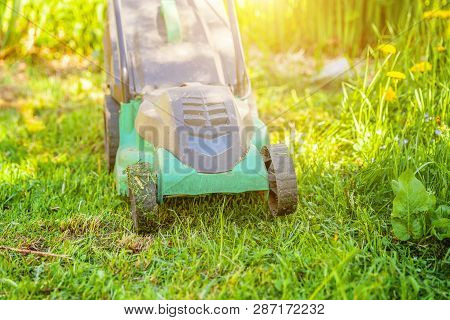Lawn Mower Cutting Green Grass In Backyard In Sunny Day. Gardening Country Lifestyle Background. Bea