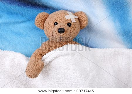 Teddy Bear