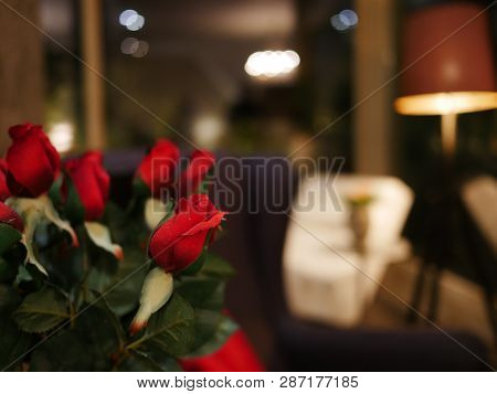 Rose Bouquet. Soft Focus Of A Rose Bouquet With Living Room Background