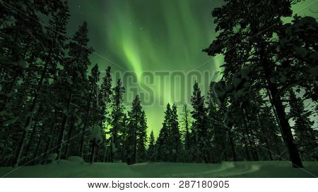 Colourful Aurora Borealis Above Trees And Snowmobile Track Going Through The Forest In Winter Northe