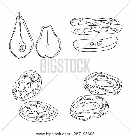 Vector Design Of Food  And Raw  Sign. Set Of Food  And Nature  Stock Vector Illustration.