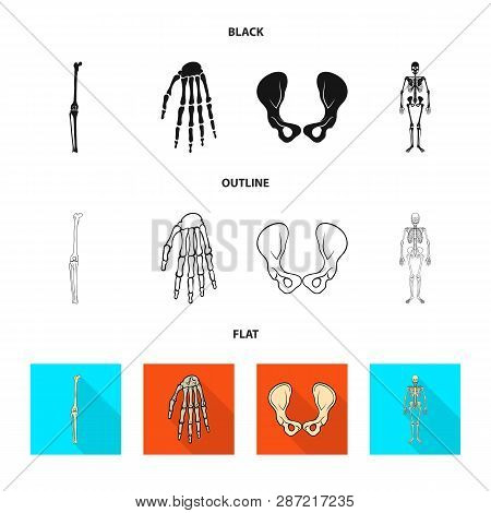 Vector Design Of Medicine And Clinic Icon. Set Of Medicine And Medical Stock Vector Illustration.