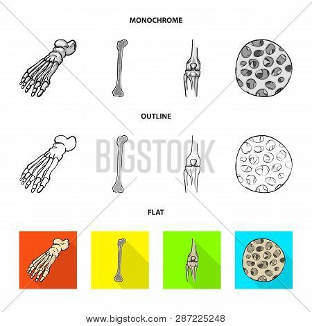 Vector Illustration Of Medicine And Clinic Icon. Set Of Medicine And Medical Vector Icon For Stock.