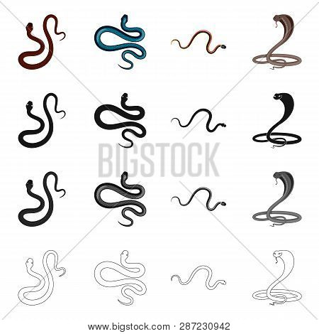 Vector Design Of Mammal And Danger Logo. Collection Of Mammal And Medicine Stock Symbol For Web.