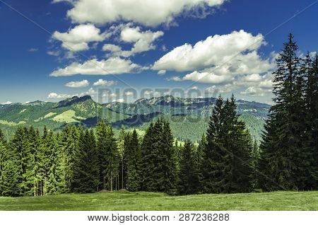 Walking Track In The Kleinwalsertal Between Forests And Mountains.