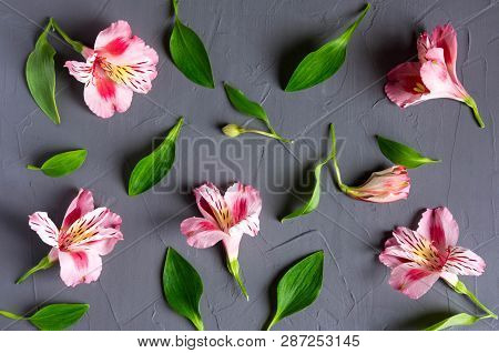 Pattern With Pink Flowers On A Dark Background. Alstroemeria Flowers On A Gray Background. Backgroun