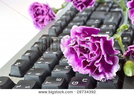 Flor en el teclado