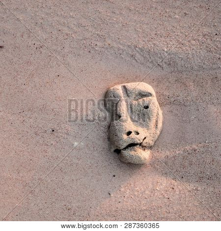 Coral On Sand With A Strange Shape Of Head