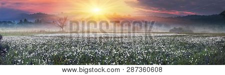 Narcissus Valley in Ukraine, Hust-famous city a sanctuary in Transcarpathia, where the alpine fields
