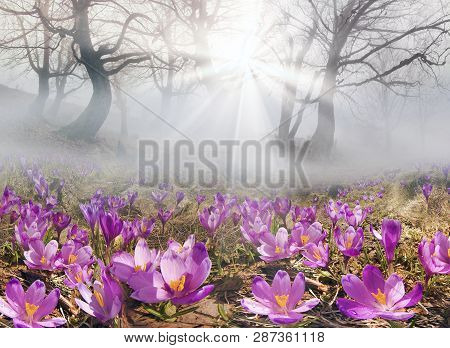 After A Winter