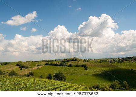 Shadows Of Clouds On Vineyard Landscape, Italian Vineyards Of Ziano Piacentino